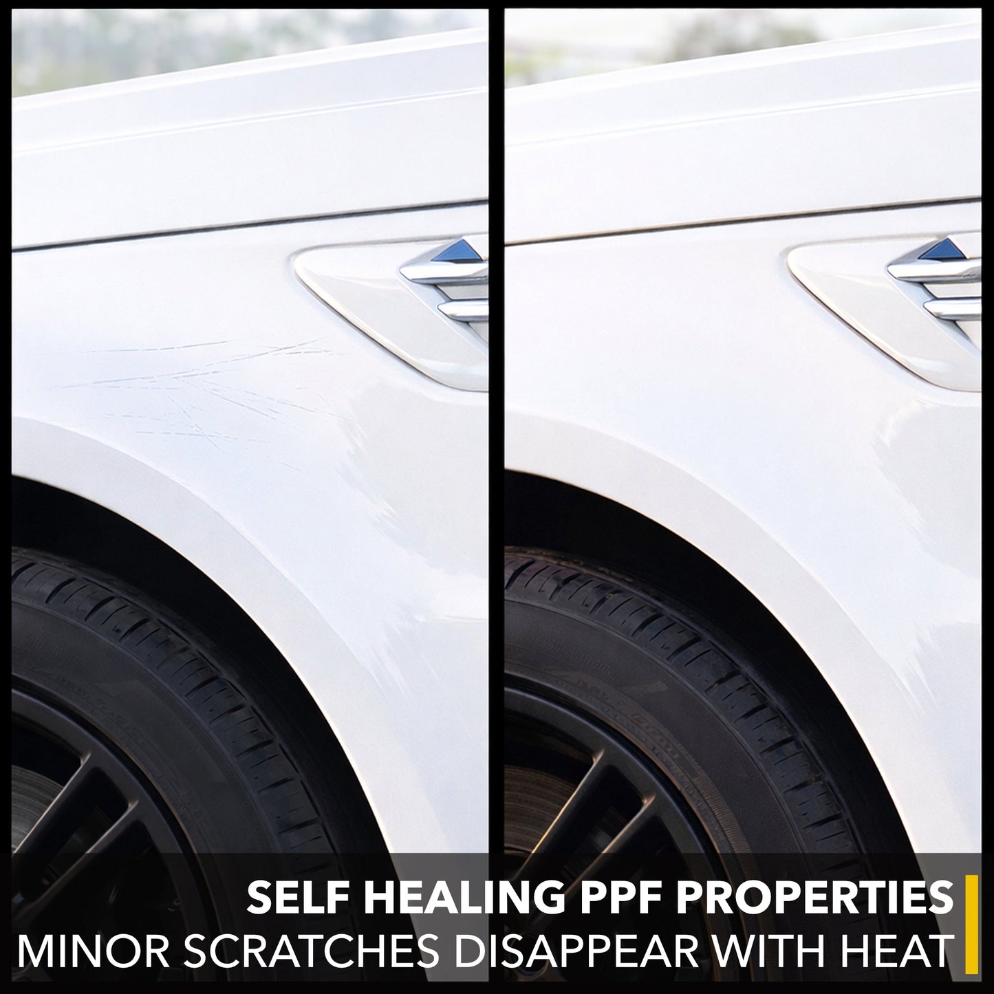 TWRAPS Paint Protection Film