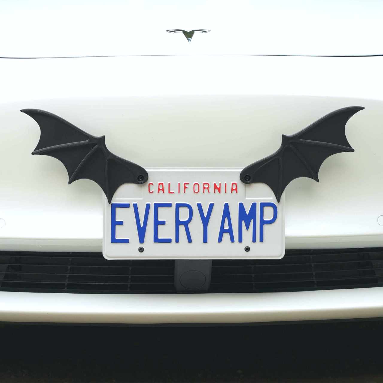 License Plate Bat Wings