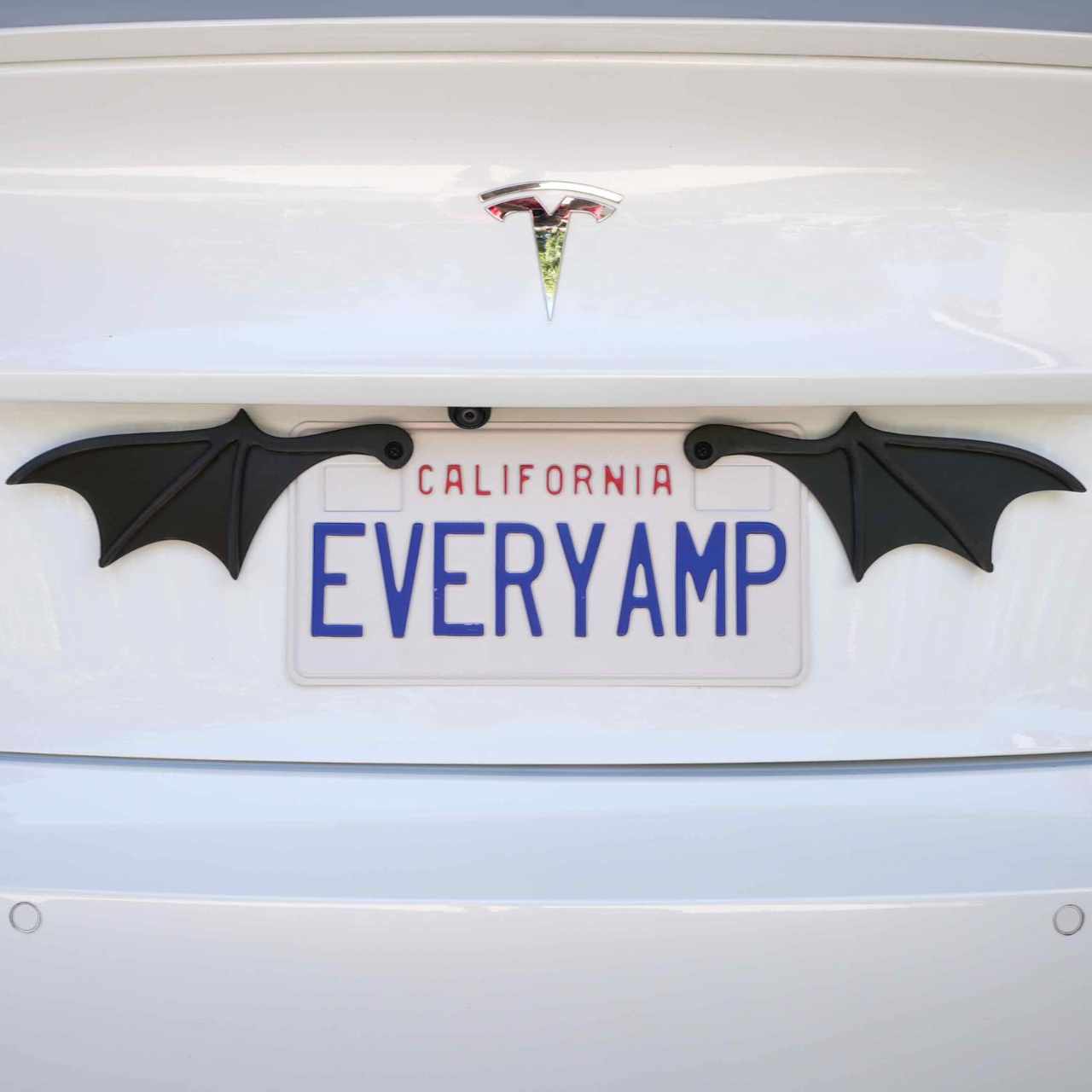 License Plate Bat Wings