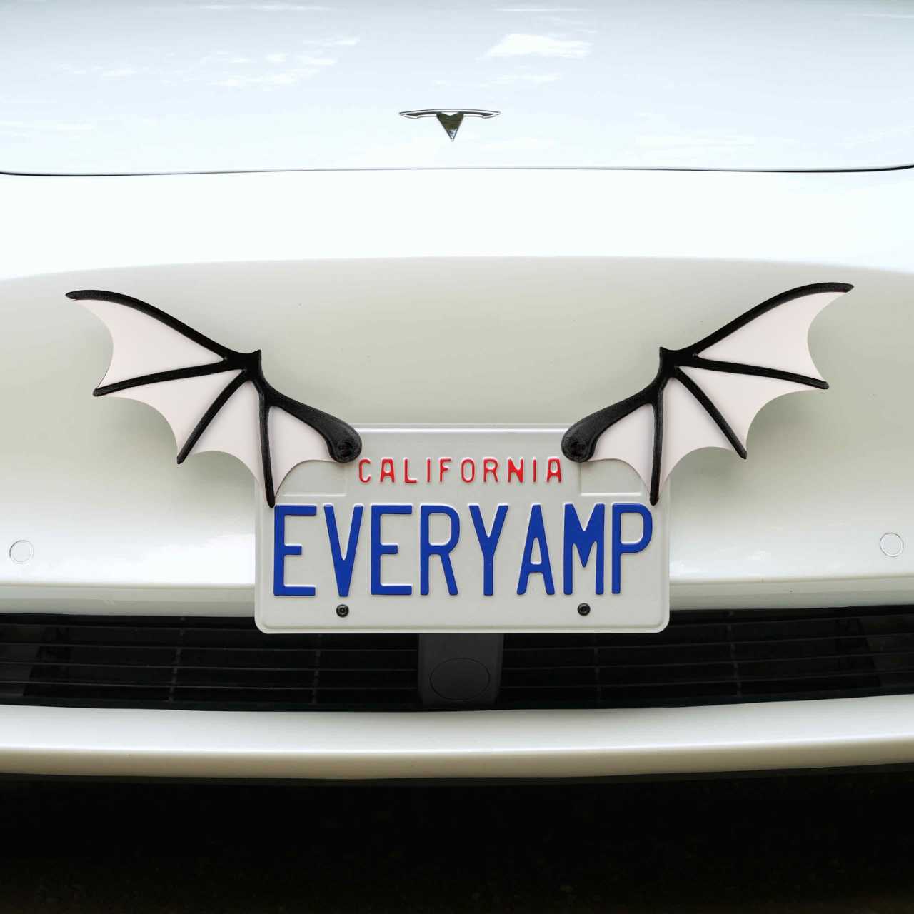 License Plate Bat Wings
