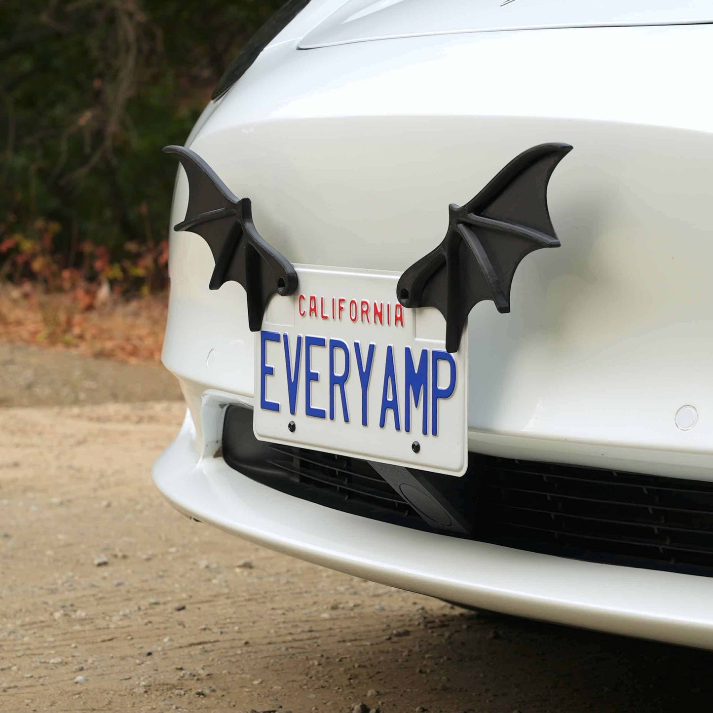 License Plate Bat Wings
