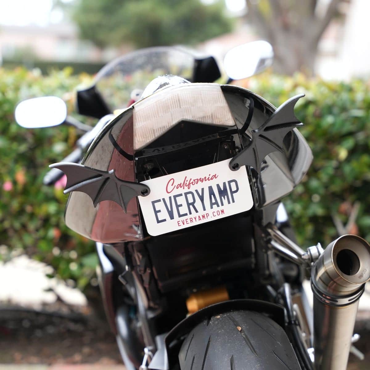 License Plate Bat Wings