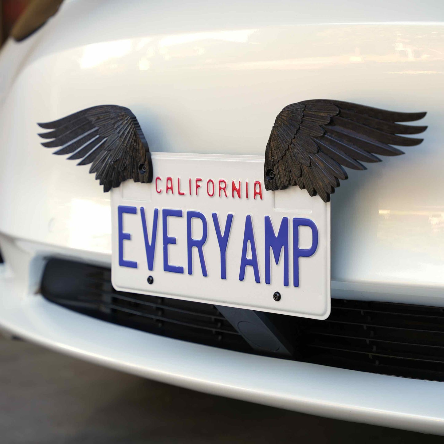 License Plate Wings