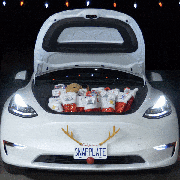 Reindeer Antlers for Car License Plate Mount